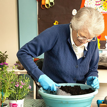 Potting plants